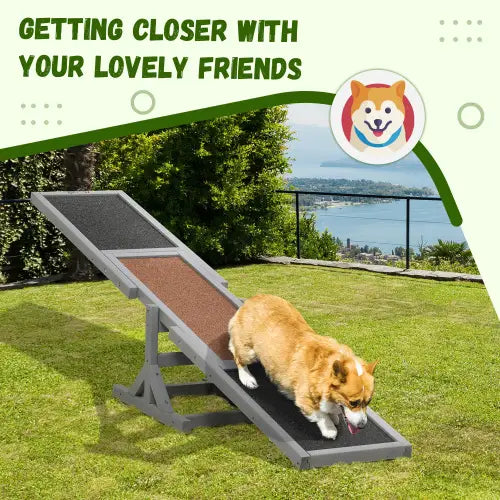 Gray and brown dog agility seesaw training equipment with textured surfaces for easy traction