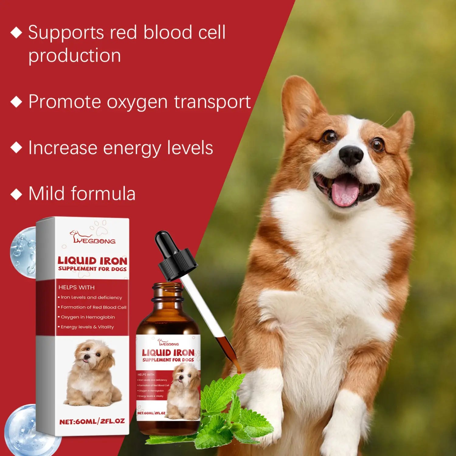 Un chien corgi brun et blanc joyeux à côté d’un complément de fer liquide pour chiens, extrait de menthe, 60 ml