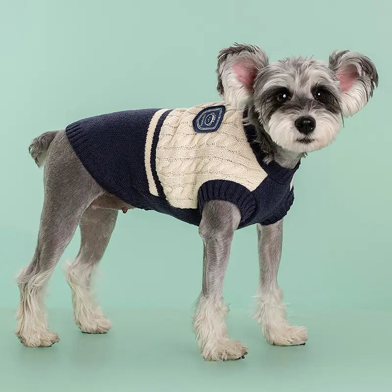 Rückseite eines navy- und cremefarbenen Zopfmuster-Hundepullovers mit gerippten Bündchen und Kragen, mit kleinem besticktem Aufnäher, entworfen als warme Schuluniform-Tierbekleidung.