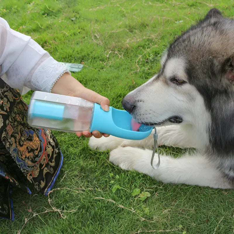 Gourde pour chien en plastique bleu 3 en 1 avec distributeur portable, réservoir transparent et bec pour une consommation facile, ainsi qu’un distributeur intégré de sacs à crottes.