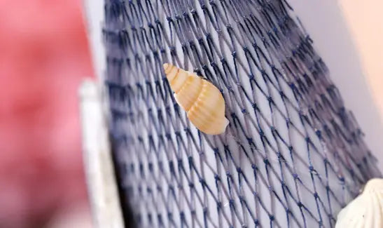 A delicate pale yellow spiral seashell on a dark blue mesh surface as part of a Mediterranean lighthouse garden statue decor.