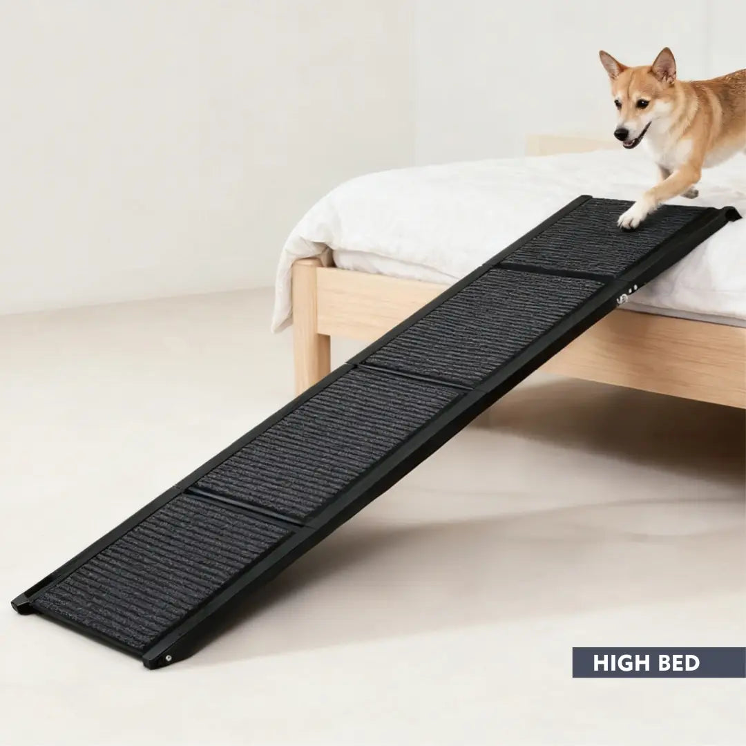 Rampe portative noire texturée pour chien, surface antidérapante, conçue pour un accès facile aux lits et véhicules surélevés, supportant jusqu’à 113 kg (250 lb)