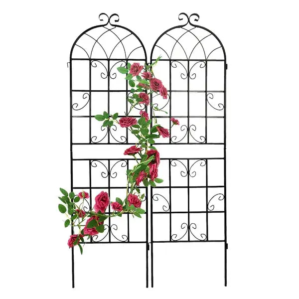 Black wrought iron garden trellis with arched top and scrollwork design featuring climbing pink roses for metal garden trellis 71 inch arched plant support 2 pack.