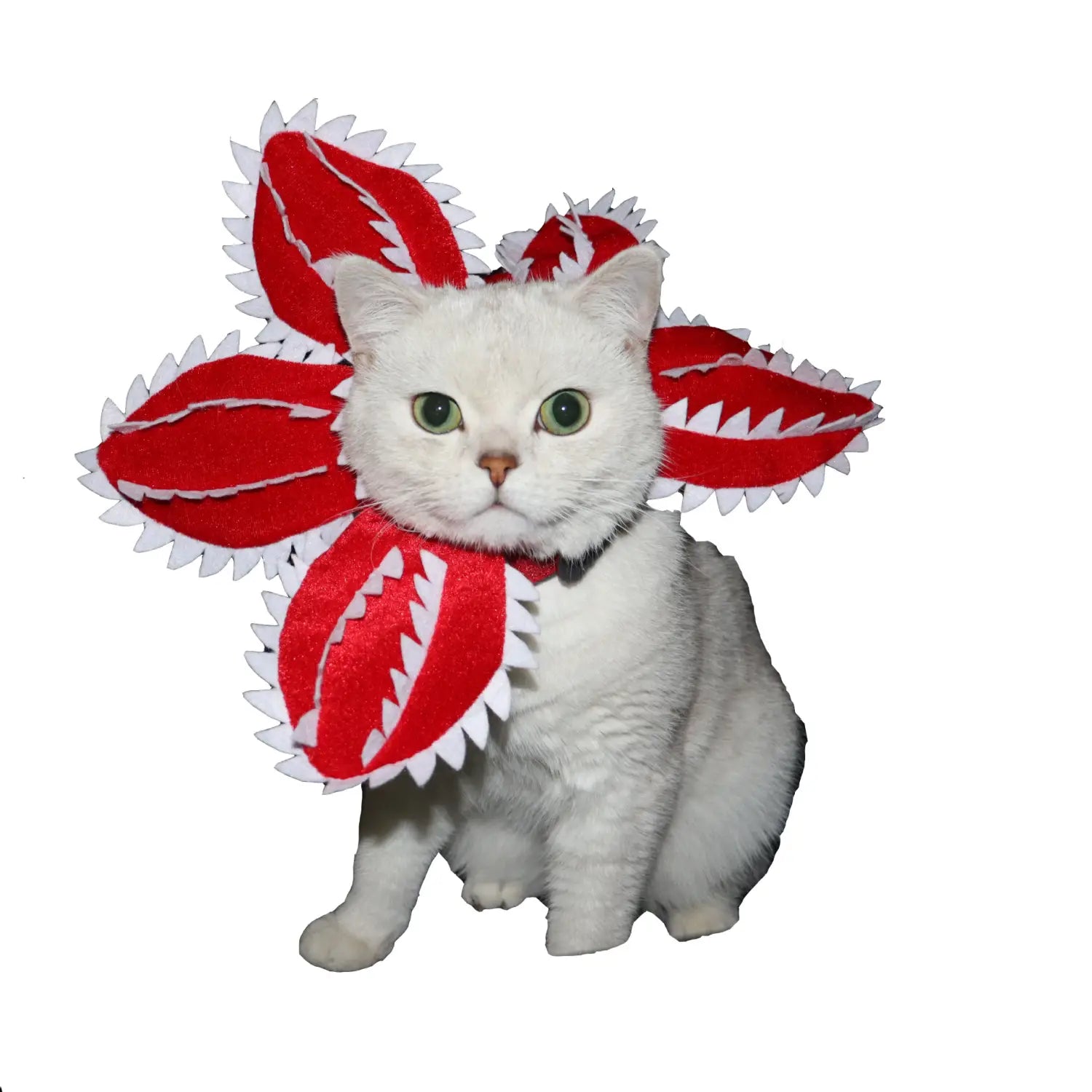 Red and white plush carnivorous flower pet costume designed as a dog hat for cats and small pets.