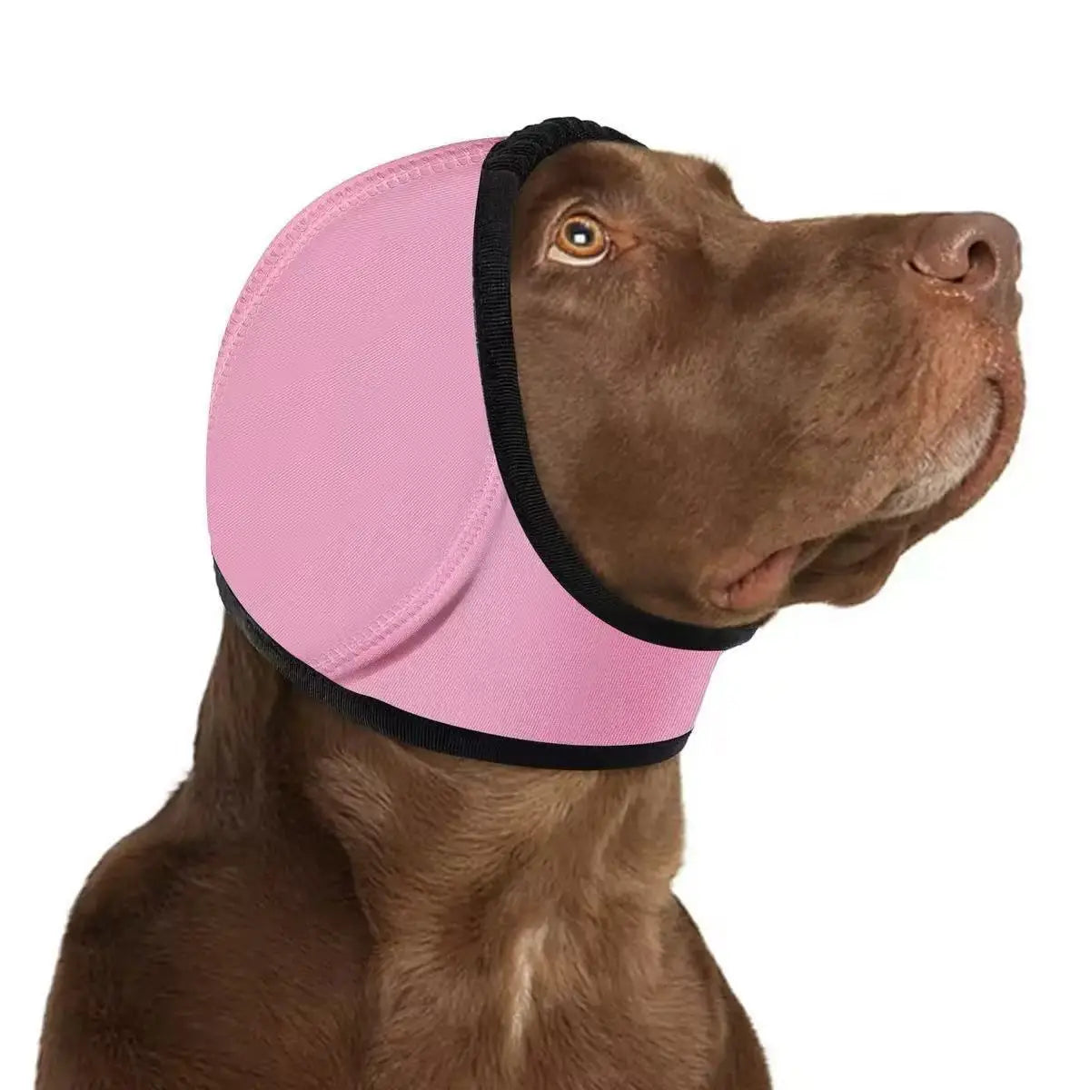 chien brun portant un bonnet de bain en néoprène rose avec protecteur d’oreilles de chien à bordure noire