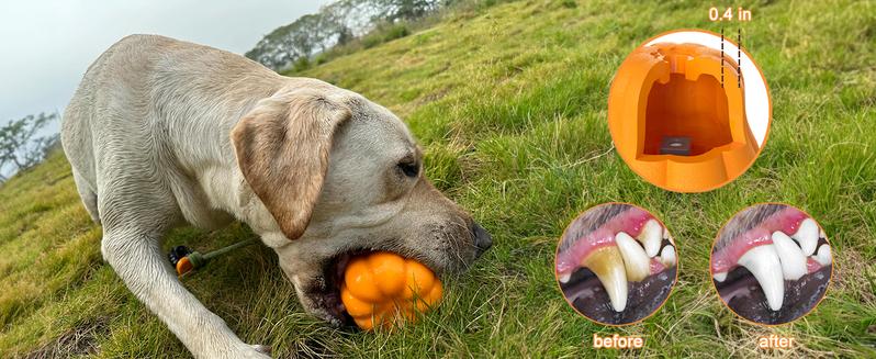 Dog Rope Fetch Toy for Aggressive Chewers Pumpkin Shape