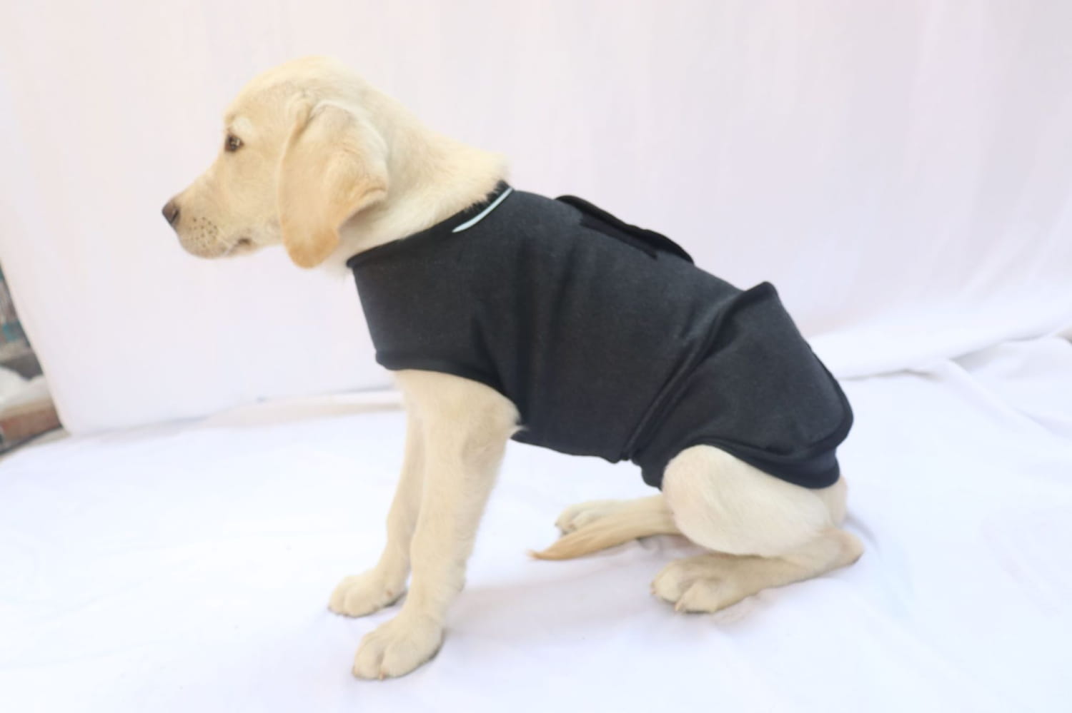 Black sleeveless dog anxiety jacket with white trim along the neckline designed as a breathable thunder vest.