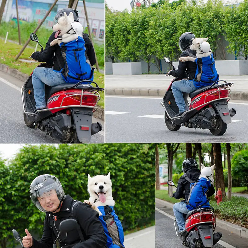 blue dog carrier backpack made of breathable gray mesh shown from the back side designed for comfortable pet transport