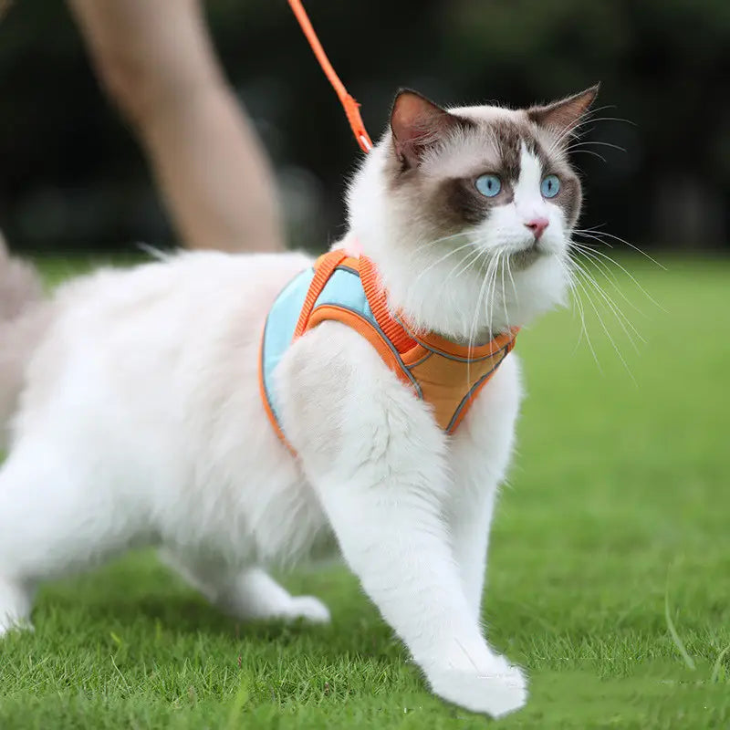 Orange and light blue reflective cat harness with adjustable straps from the reflective cat harness and leash set designed to be escape proof.