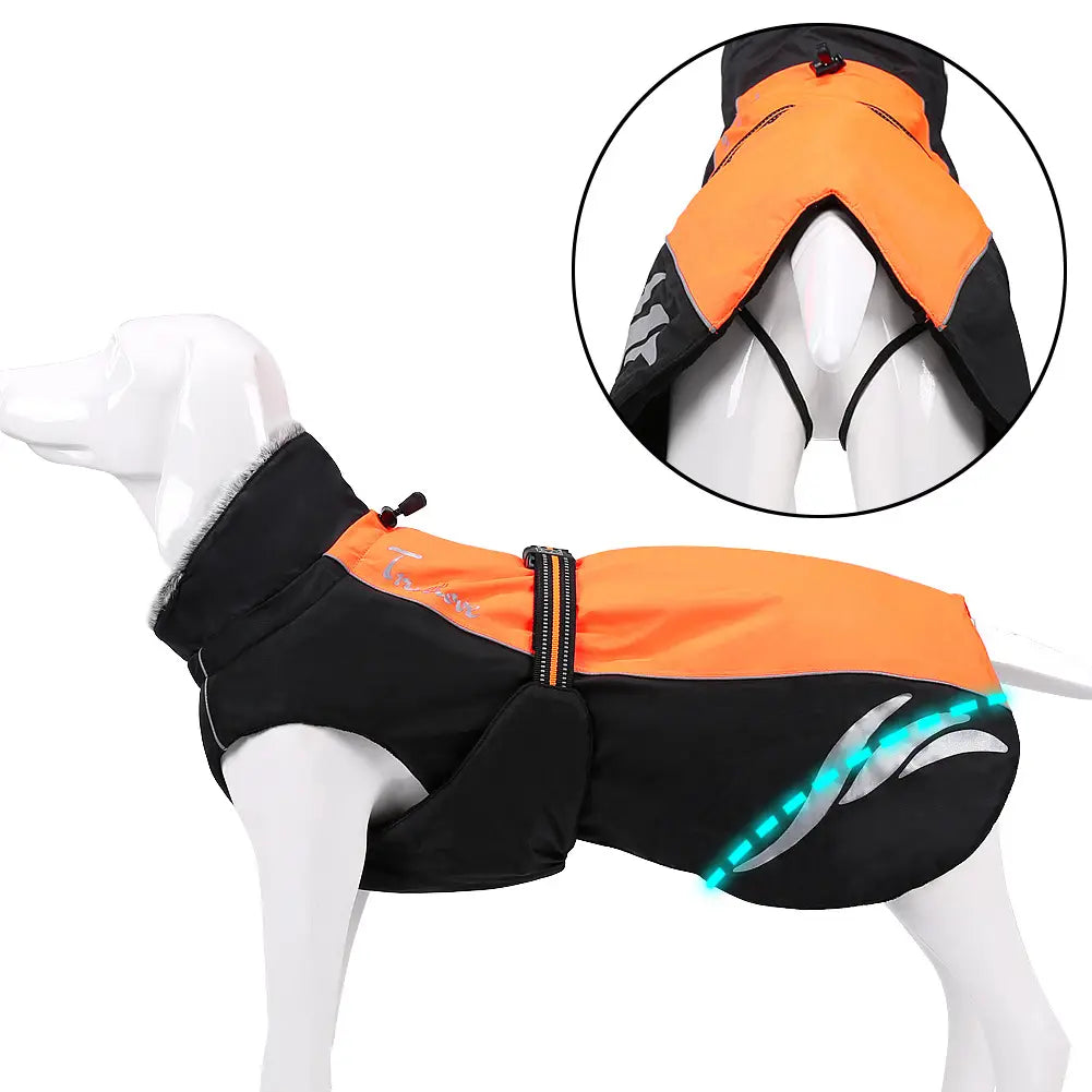Black and orange waterproof dog down jacket with reflective silver stripes and glowing blue LED lights along the side for winter warmth.