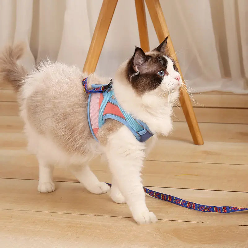 Reflective cat harness and leash set with adjustable blue and pink straps and a colorful patterned leash designed for escape proof use.