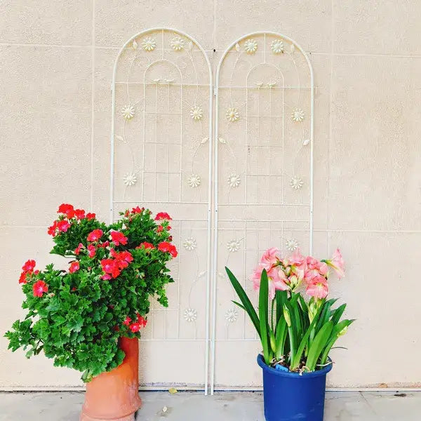 White metal garden trellis with arched top and floral patterns in a 71 inch 2 pack for garden support.