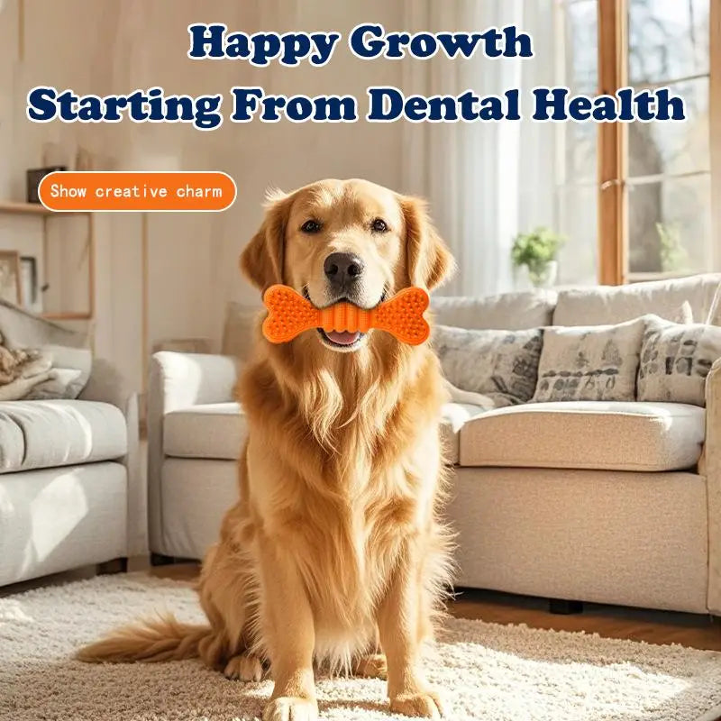 Dog Toothbrush Chew Toys 2 Pack Dental Cleaning Stick