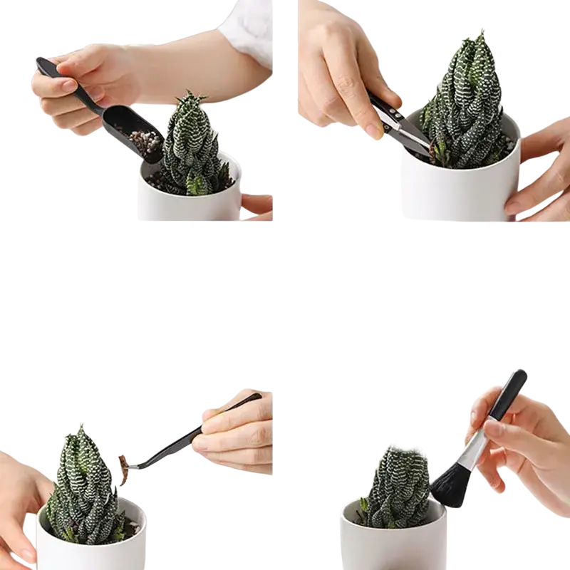 Black-handled ergonomic 13-piece garden tool set featuring scoop tweezers and brush for succulent maintenance