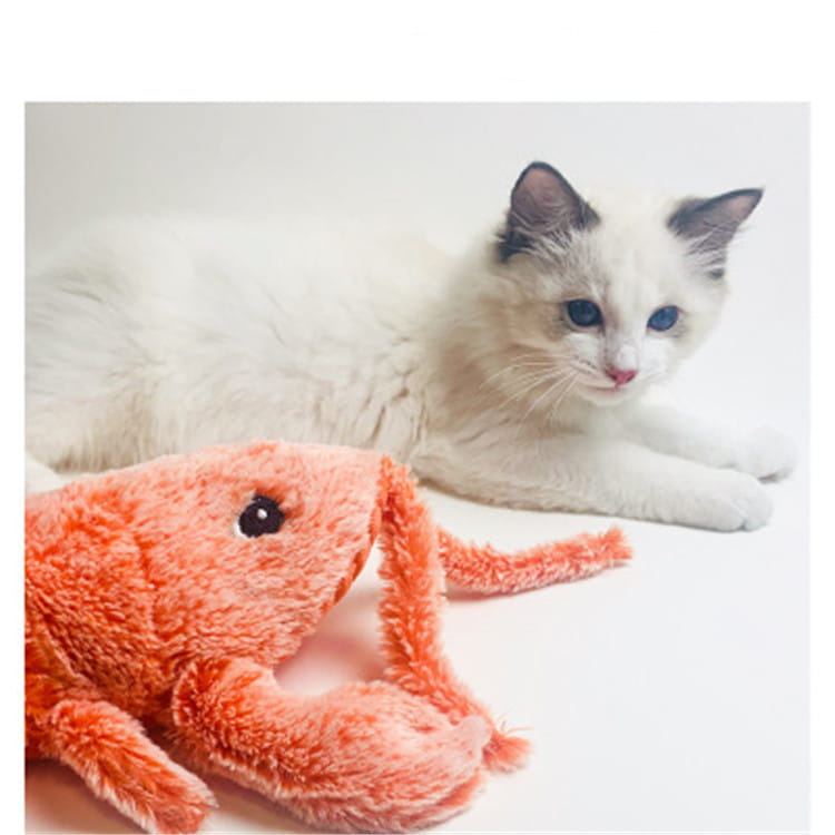 Ein weiches, korallenfarbenes Plüsch-Elektrisch-hüpfendes Hummer-USB-Lade-Katzen-Spielzeug mit schwarzen Glitzeraugen und flauschiger Textur.