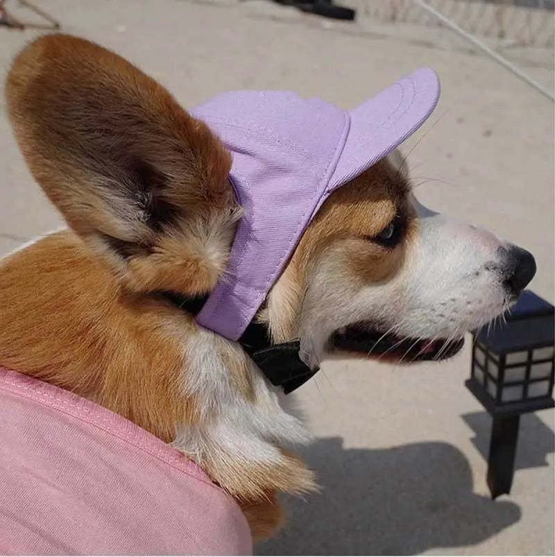 a soft lavender adjustable sun proof pet hat with ear holes worn by a corgi