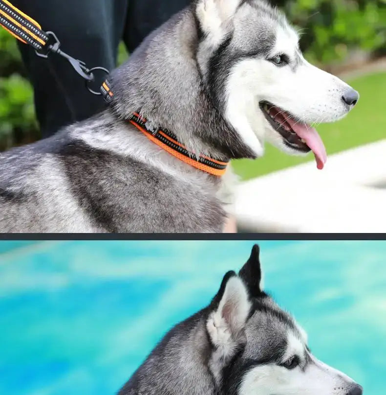 collar para perro de malla acolchada reflectante talla mediana en franjas naranja y negro, con hebilla metálica.