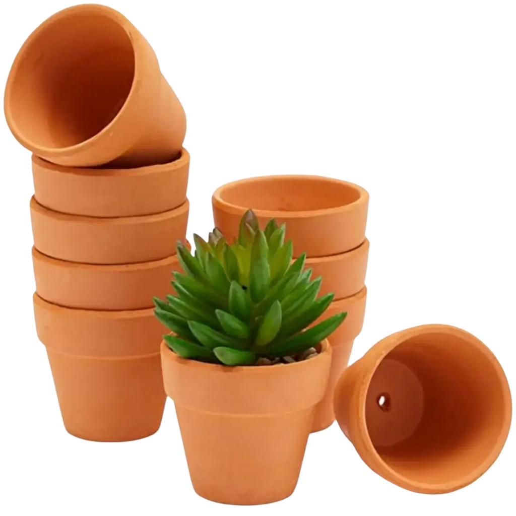 Mini terracotta pots made of terracotta with drainage holes featuring a green succulent ideal for party favors and drop test