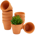 Mini terracotta pots made of terracotta with drainage holes featuring a green succulent ideal for party favors and drop test