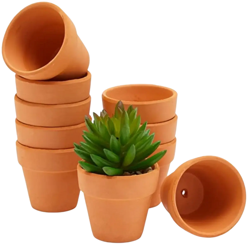 Mini terracotta pots made of terracotta with drainage holes featuring a green succulent ideal for party favors and drop test