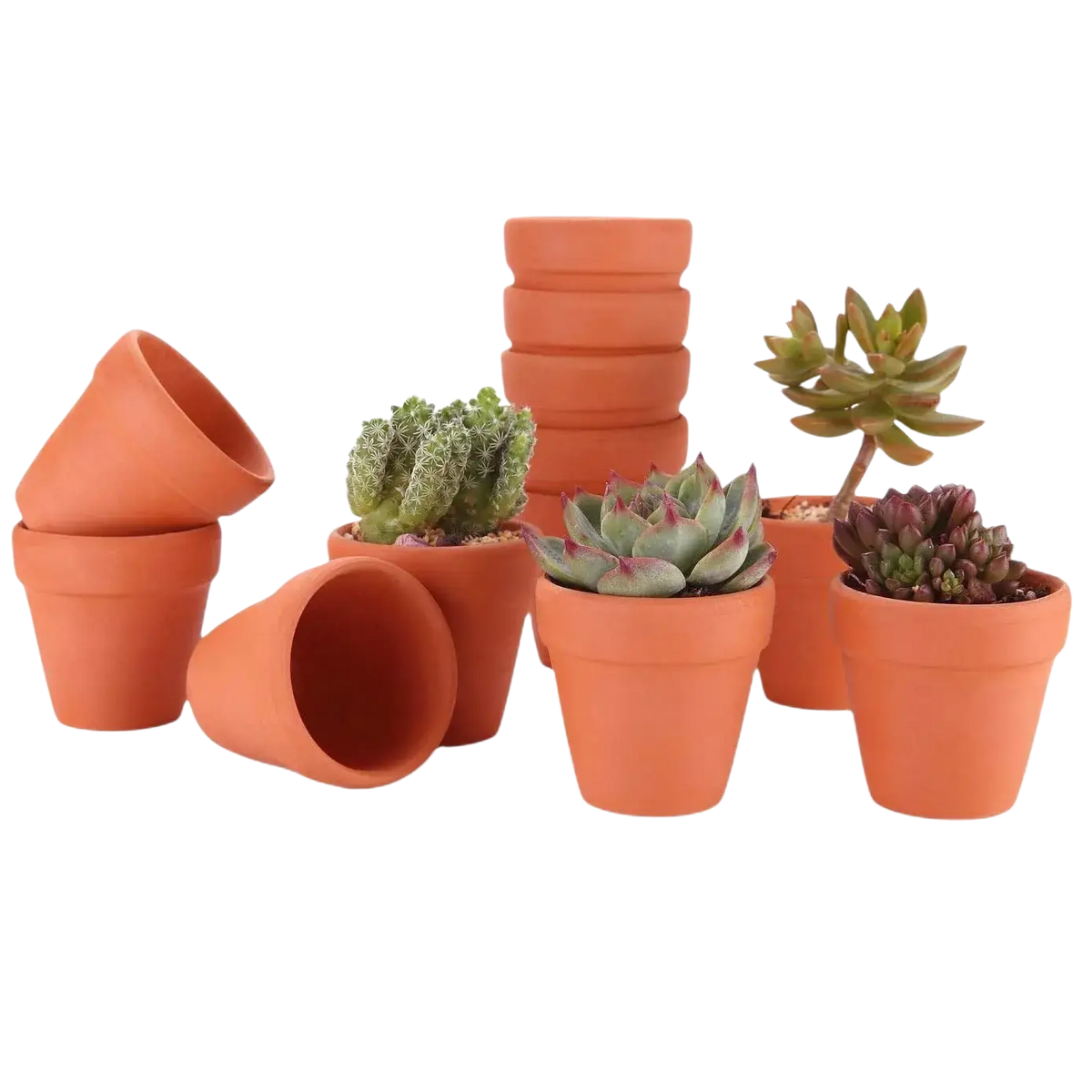 16 pcs mini terracotta pots with drainage holes feature a matte earthy orange finish and classic tapered design ideal for party favors
