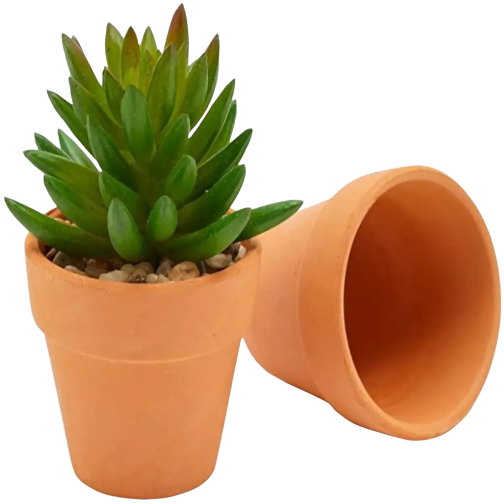 Terracotta pot with a green succulent inside one of 16 mini terracotta pots with drainage holes ideal for party favors