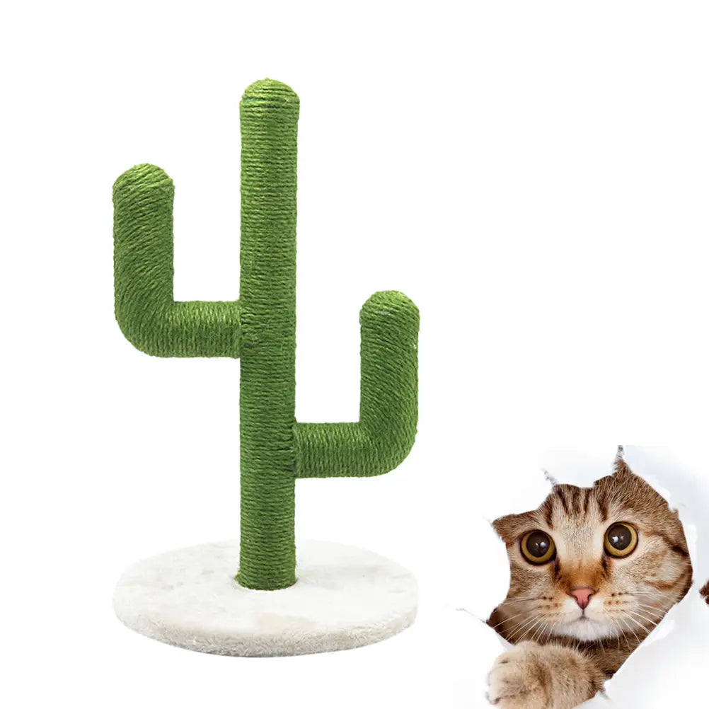 Green cactus-shaped cat scratching post made of sisal with a white circular base for climbing and scratching.