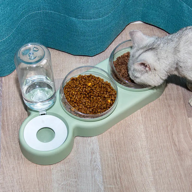 Automatischer Tierfutter- und Wasserspender in Mintgrün mit zwei Glasschalen und einem Wasserspender für eine praktische Fütterung und Wasseraufnahme.