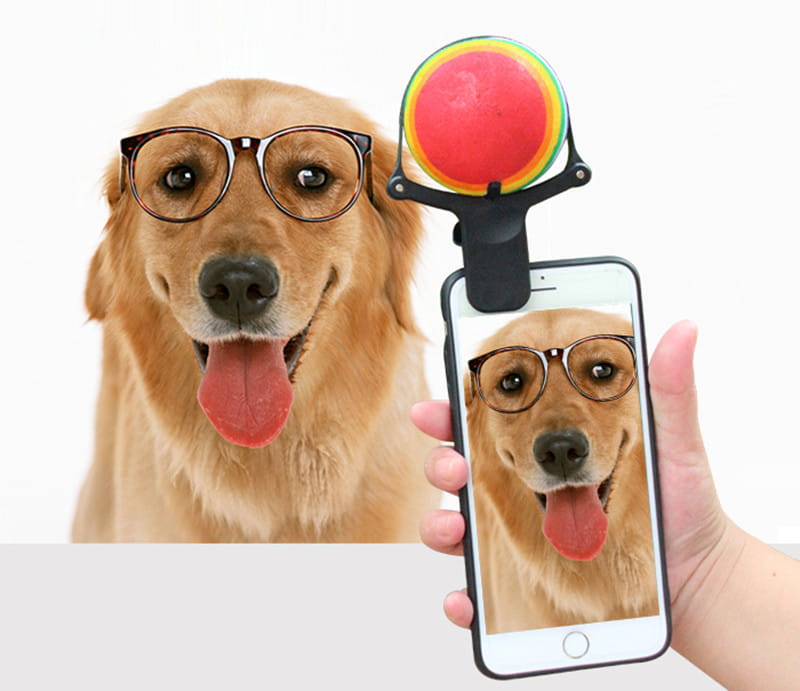 Pet Selfie Stick Tennis Ball Phone Clip Prop
