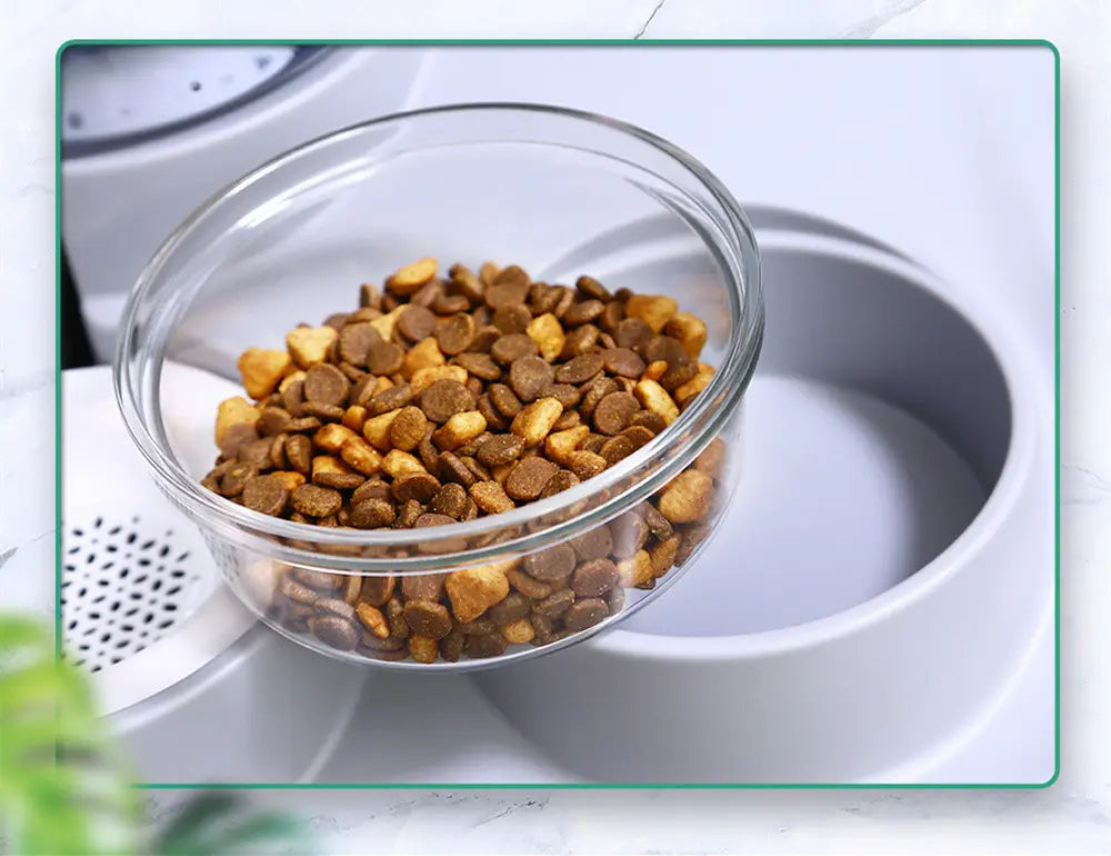 a clear glass bowl filled with brown and tan kibble as part of a pet water dispenser and automatic food bowl set.