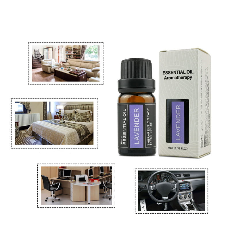 Eine 10-ml-Amber-Glasflasche mit Lavendel-ätherischem Öl, mit schwarzem geripptem Verschluss und violetter Beschriftung, neben ihrer weißen Kartonbox in einem Set für ätherische Öl-Aromatherapie 10 ml Duftbox präsentiert