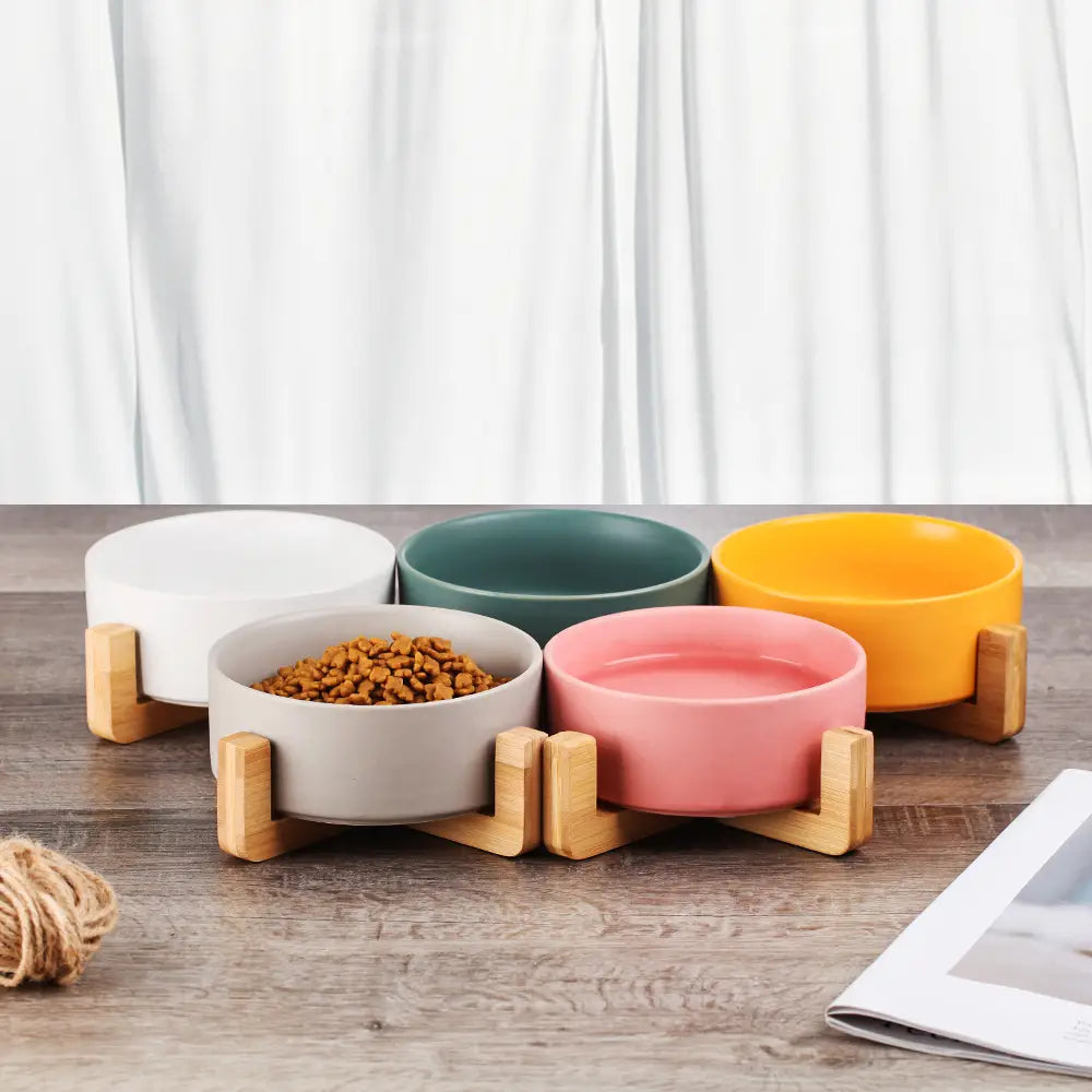 Set of four colorful ceramic double pet bowls with wooden stands in white teal yellow and pink hues for feeding pets.