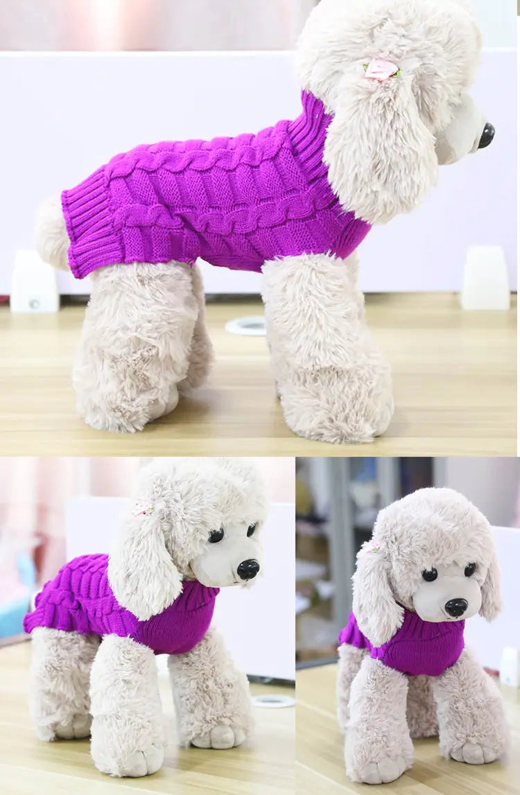 Pull pour chien en cachemire violet, torsadé et tricoté, présenté pour un caniche.