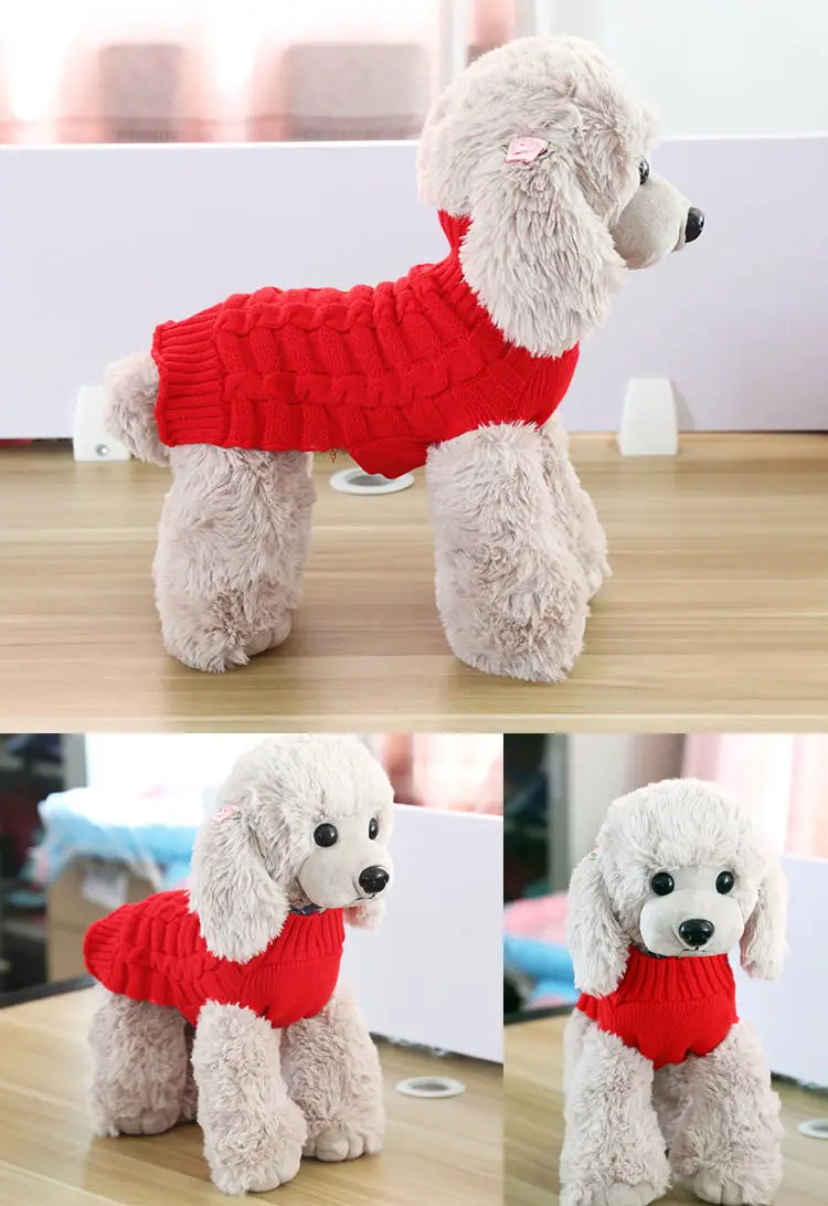 Un caniche blanc duveteux portant un pull pour chien en cachemire torsadé rouge vif, à texture côtelée.