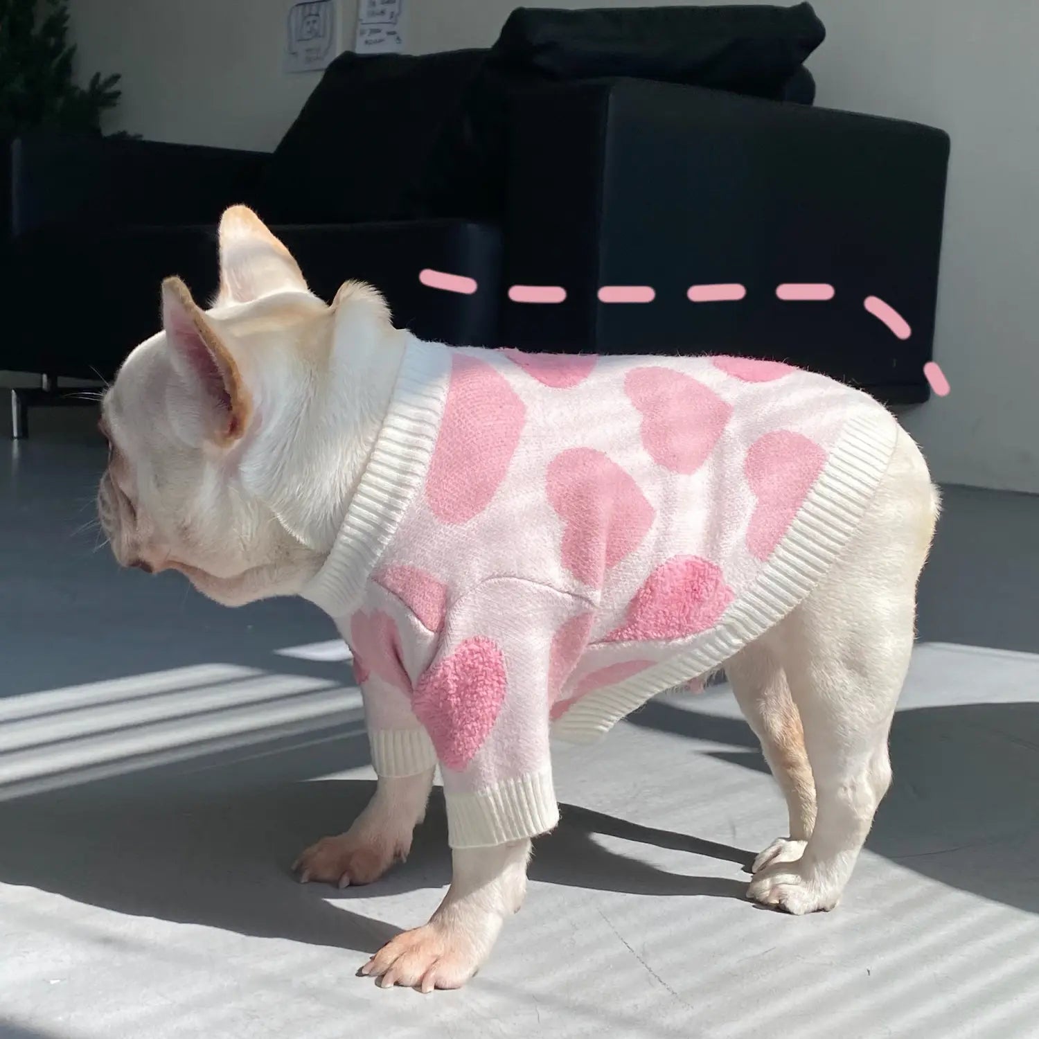 A soft white knit dog heart sweater with pink heart patterns designed for a french bulldog as winter pet apparel.