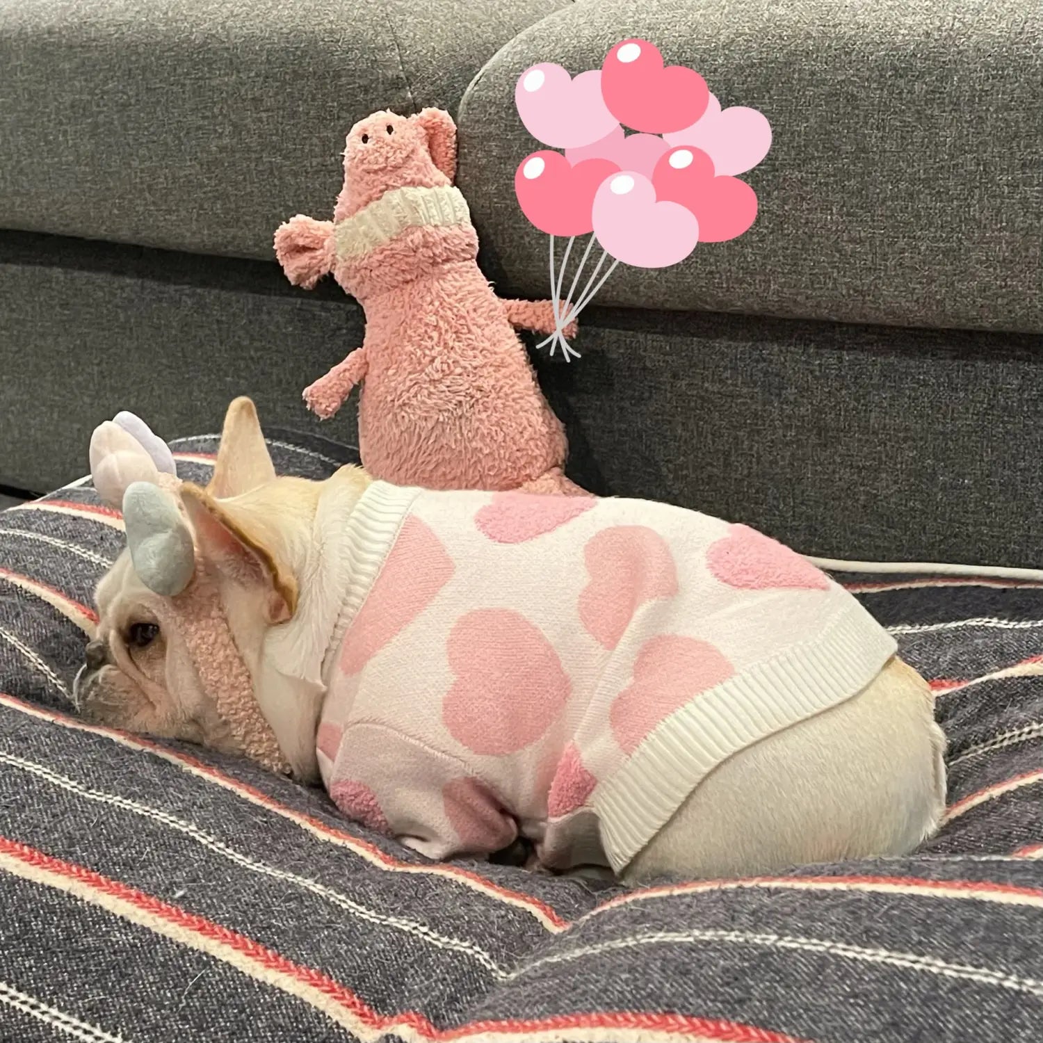 a fluffy pink plush pig holding heart shaped balloons next to a dog heart knit sweater winter pet apparel designed for warmth and comfort