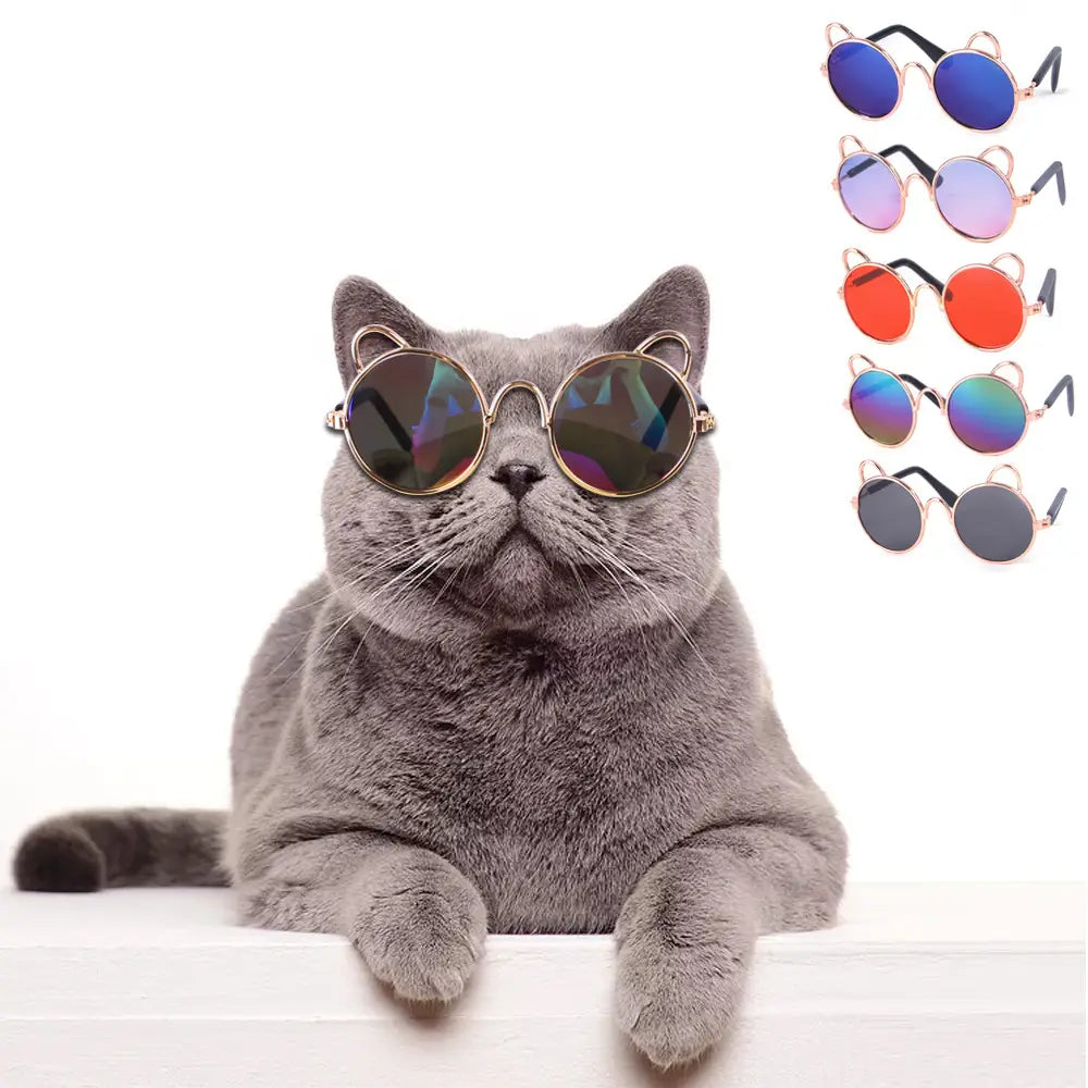 a gray British shorthair cat wearing rose gold cat ear pet sunglasses with round reflective lenses and gold-toned frames with ear-shaped accents