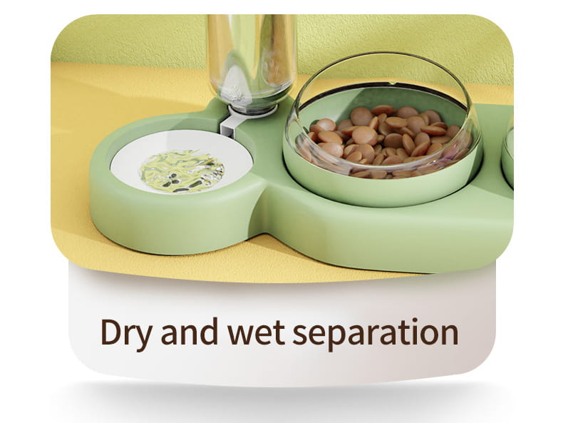 Eleganter automatischer Tierfutter- und Wasserspender mit hellgrünem Design und zwei Kammern, mit einer klaren Glasschale für Nassfutter und einem weißen Keramikschälchen für Trockenfutter.