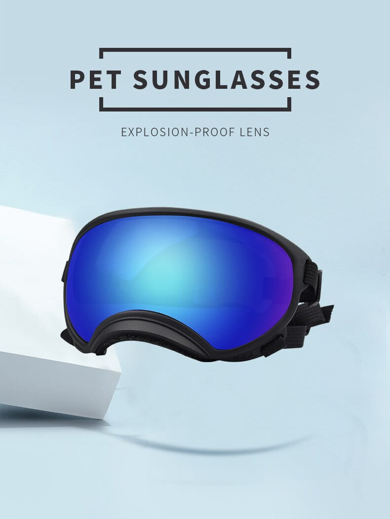 Lunettes de ski pour chien à monture noire, antibuée coupe-vent, lentilles réfléchissantes dégradé bleu et violet, conçues pour la protection des lunettes des animaux.