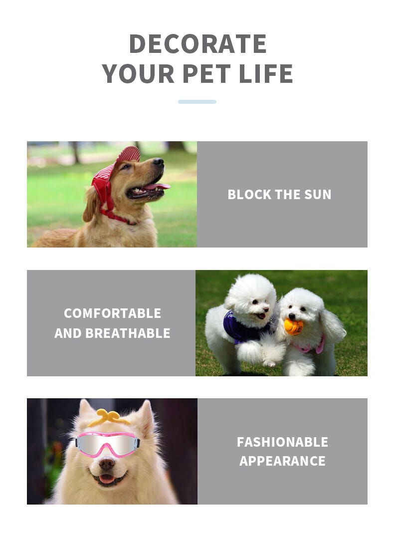 Visière solaire en filet rouge pour chiens, conçue comme lunettes de protection pour animal antibuée coupe-vent.
