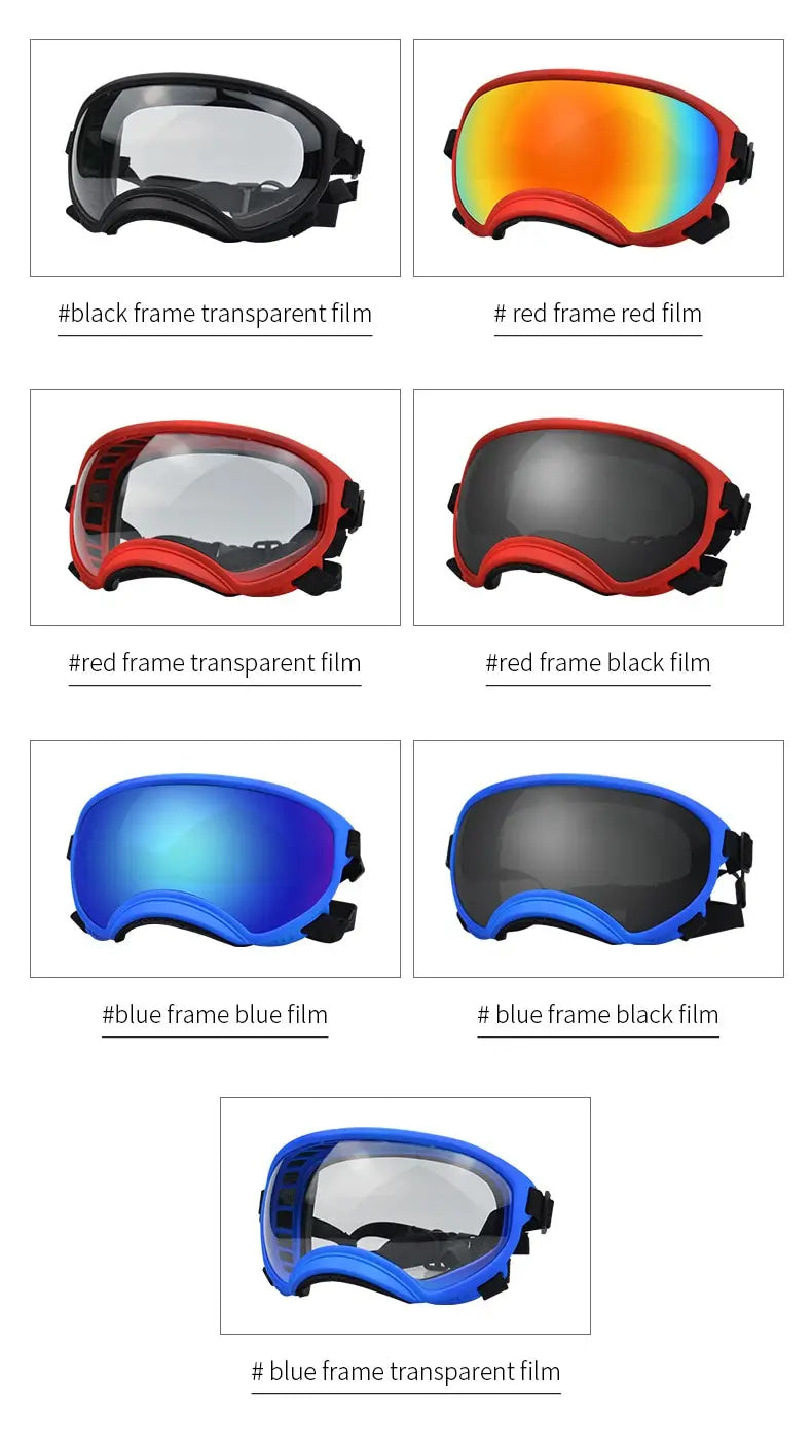 Lunettes de ski pour chien à monture bleue, avec film transparent antibuée coupe-vent et sangles réglables noires pour les lunettes des animaux.
