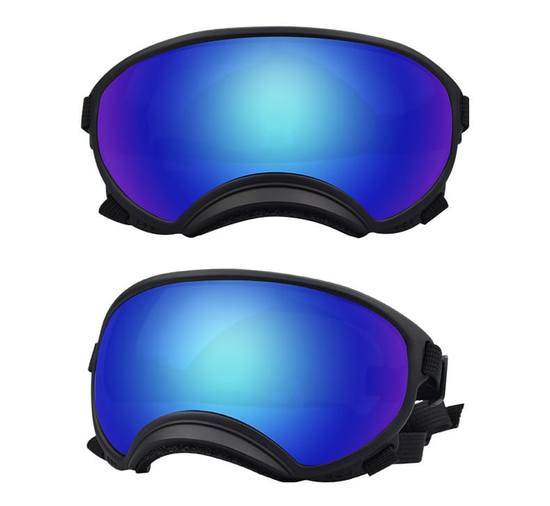 Lunettes de ski pour chien noires dotées de fonctions antibuée coupe-vent, et de lentilles réfléchissantes dégradé bleu et violet pour les lunettes des animaux.