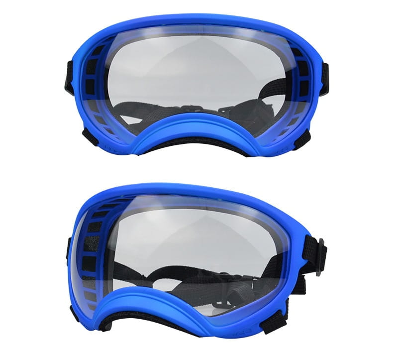 Lunettes de ski pour chien bleues de protection avec verres clairs et sangles réglables noires, conçues pour des lunettes antibuée coupe-vent.