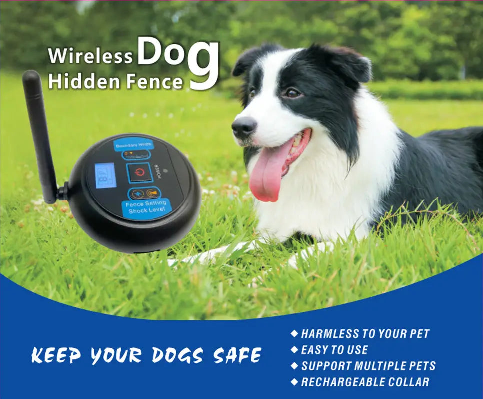 Black wireless pet fence electric waterproof training collar control unit with small antenna and blue lit buttons.