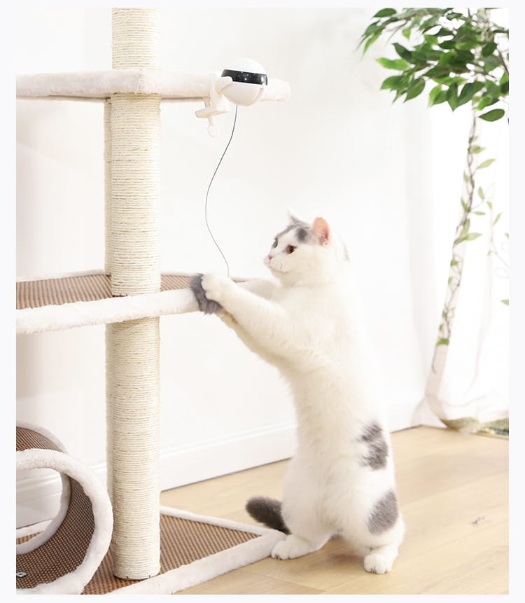 Interactive Electronic Motion Cat Toy for Pets