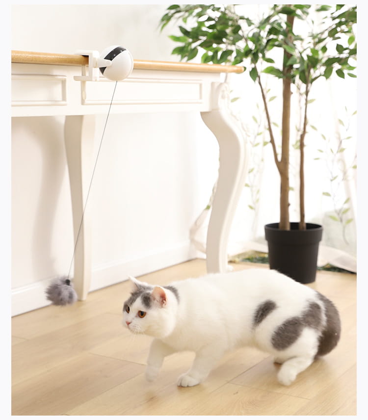 Interactive Electronic Motion Cat Toy for Pets