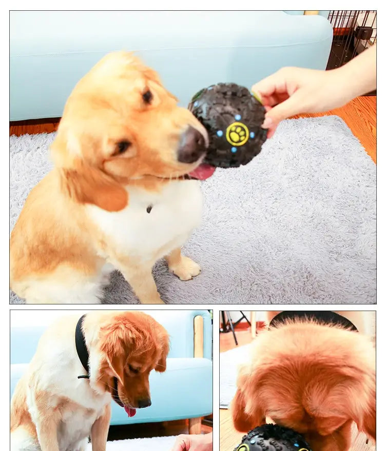 Balle d’entraînement squeaky en caoutchouc texturé pour distributeur de friandises pour chien, noire, avec empreinte de patte jaune et points bleus.