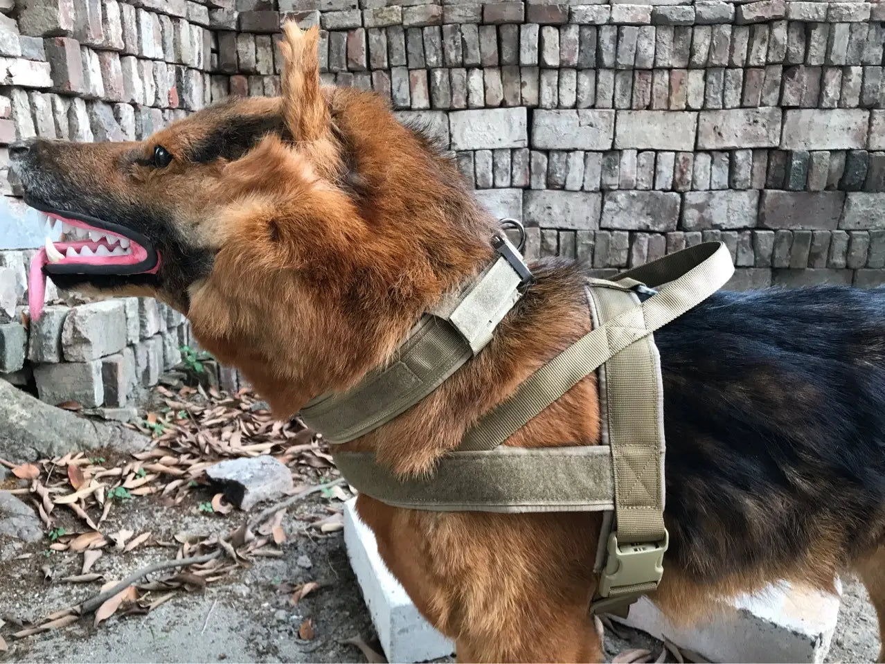 Harnais tactique pour chien beige avec sangles réglables et boucles métalliques, en nylon 1000D durable, pour un usage tactique sécurisé