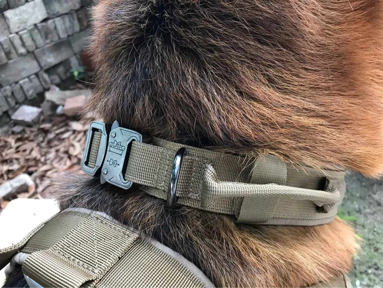 Collier tactique pour chien vert olive fabriqué en nylon 1000D durable, avec une boucle en plastique gris et un anneau en D métallique réglable pour un ajustement sécurisé.