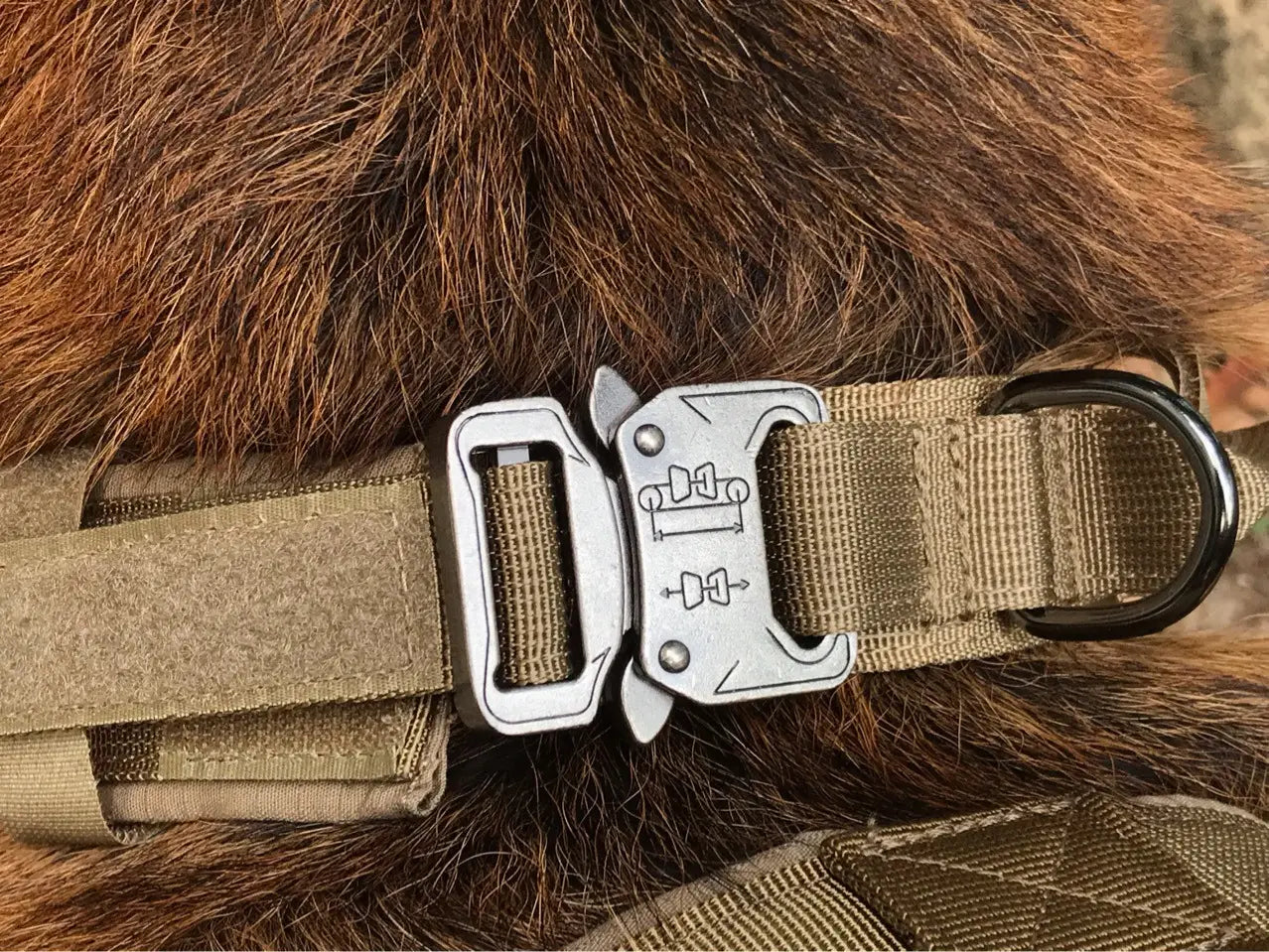Boucle de collier tactique pour chien argentée, finition mate et coutures renforcées sur une sangle en sangle ajustable en nylon 1000D beige, pour une durabilité accrue